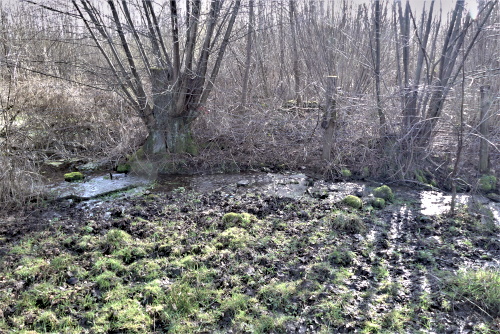 Le Puiset des Nonnes 2