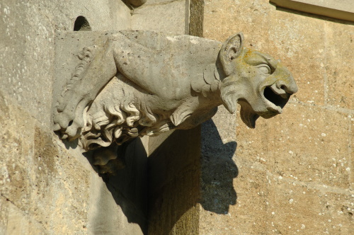 gargouille glise de Sainte vaubourg 