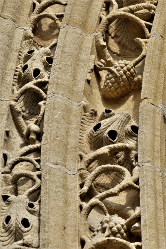 savigny 3 20201109 1775732322