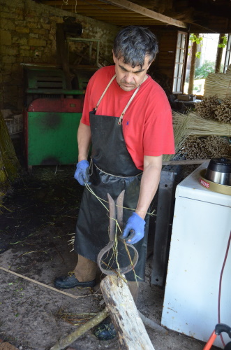 triffut 2 20201118 1996210132