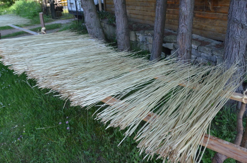 triffut 4 20201118 1816297531