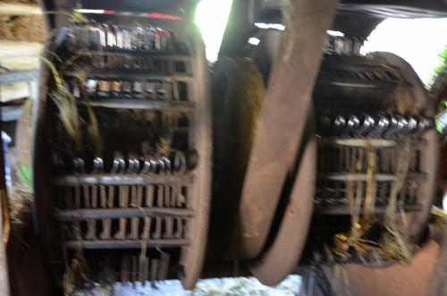 triffut 5 20201118 1011327373