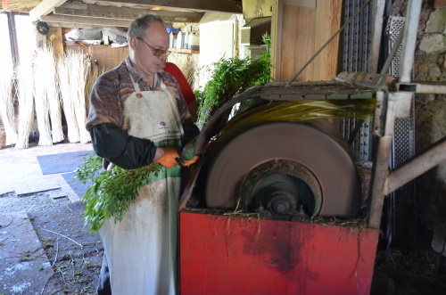 triffut 6 20201118 1087827311